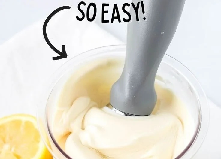 Ninja Creami Lemon Gelato served in a bowl with a zesty lemon garnish.