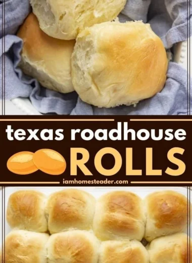 Delicious Texas Roadhouse Rolls served with creamy cinnamon butter