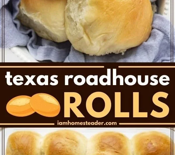 Delicious Texas Roadhouse Rolls served with creamy cinnamon butter