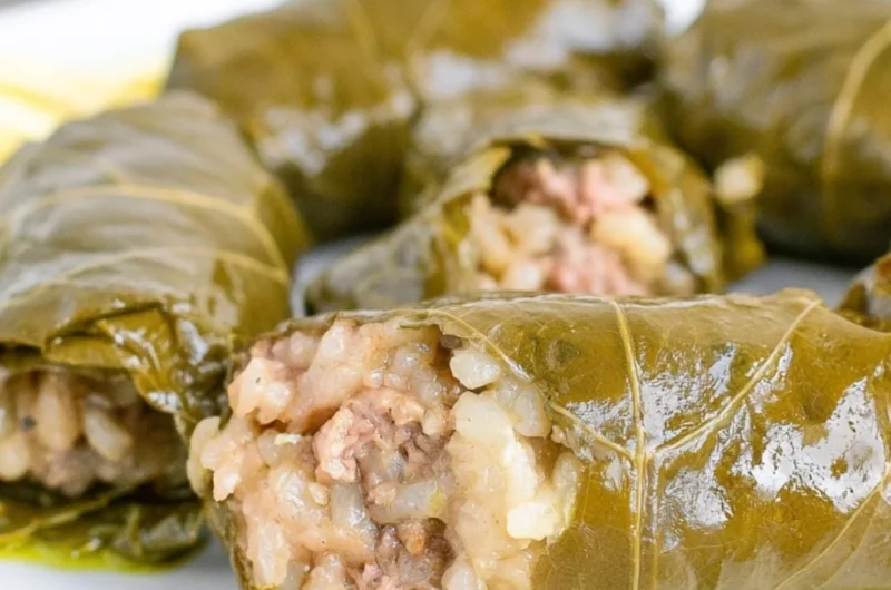 Delicious stuffed grape leaves filled with rice and herbs on a plate