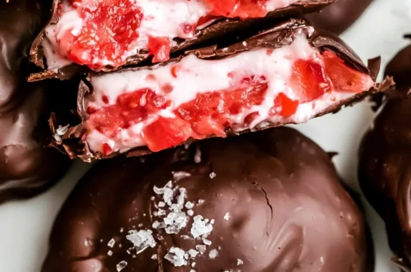 Chocolate Strawberry Frozen Yogurt Bites treat for a refreshing snack